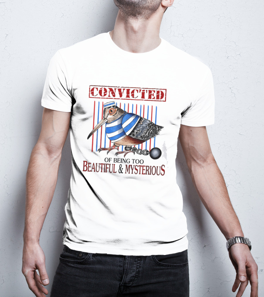 Convicted Of Being Too Beautiful And Mysterious Bird Prisoner Stripes T-Shirt