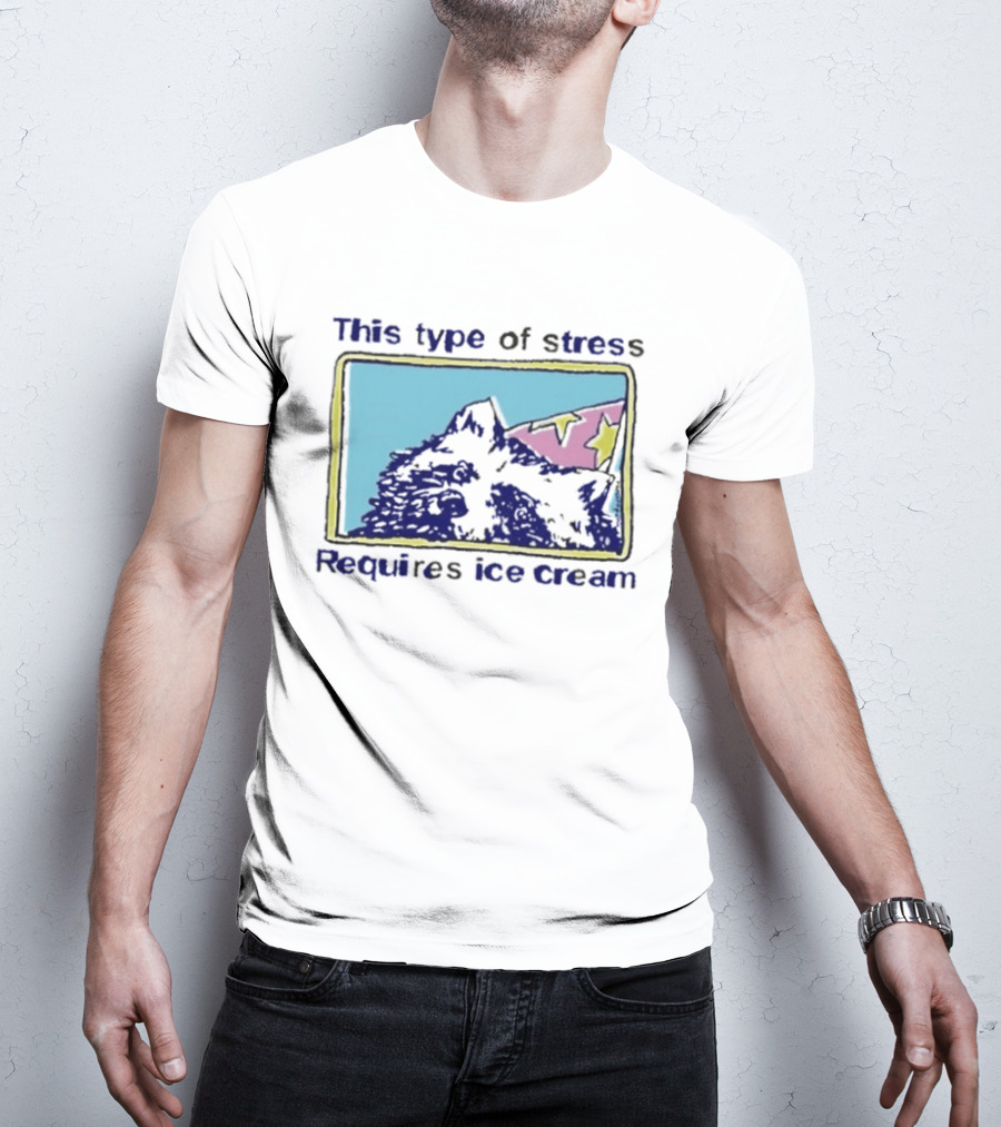 This Type Of Stress Requires Ice Cream Raccoon Meme T-Shirt