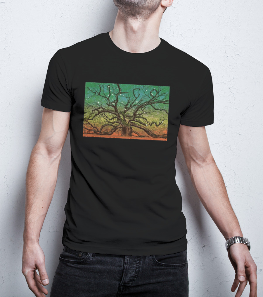 Wilco Sky Stars Charleston July 2026 T-Shirt