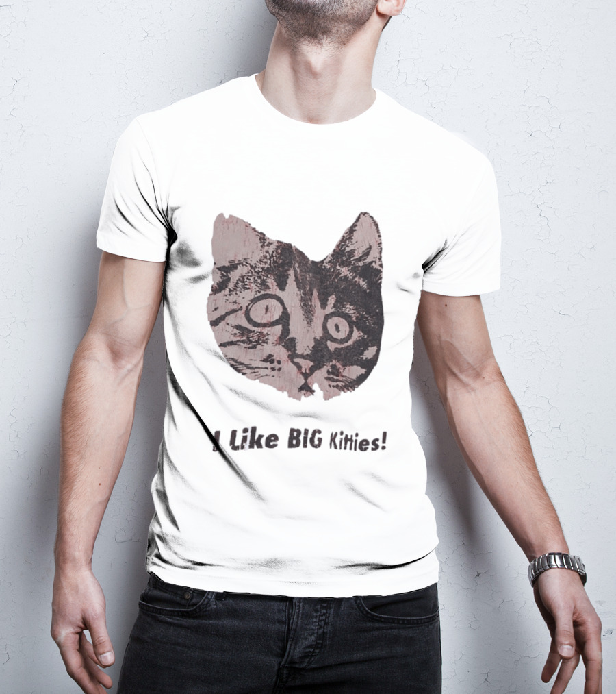 I Like Big Kitties Cat Lover Feline Enthusiast Funny Display T-Shirt