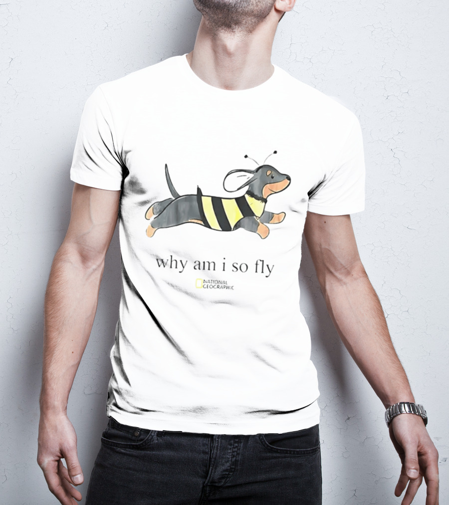 Why Am I So Fly Dachshund Bee National Geographic T-Shirt