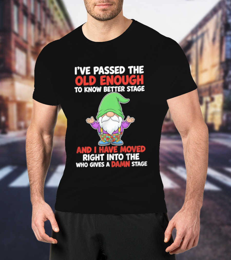 I've Passed The Old Enough To Know Better Gnome And Moved Into Who Gives A Damn Stage T-Shirt