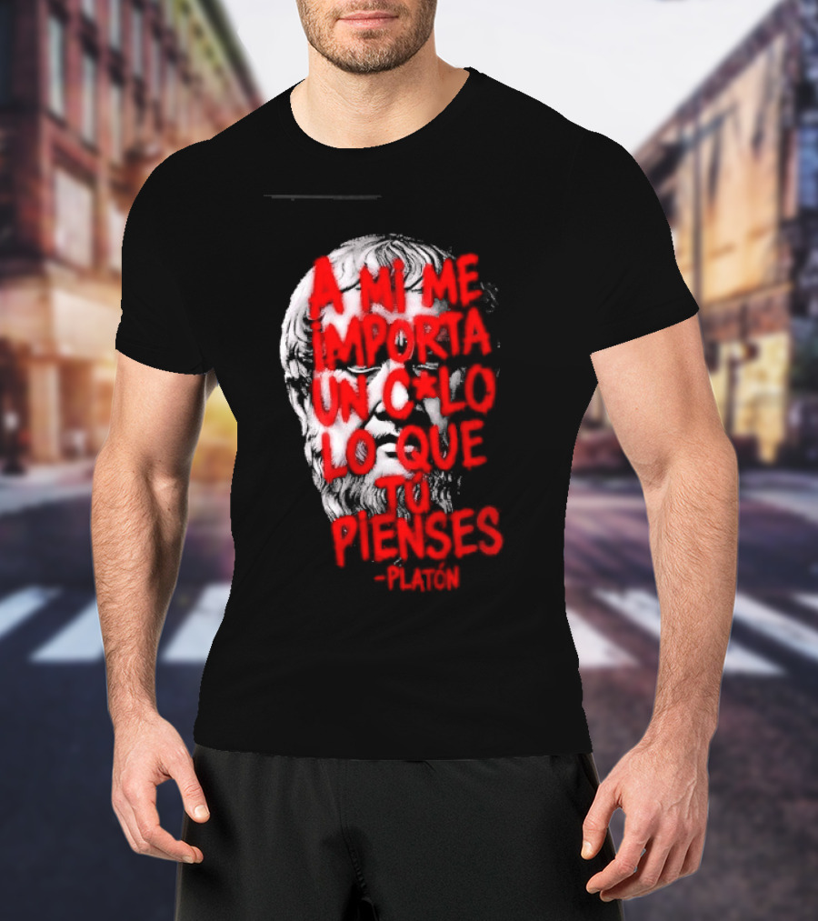 A Mi Me Importa Un Culo Lo Que Tu Pienses Platón Skull T-Shirt