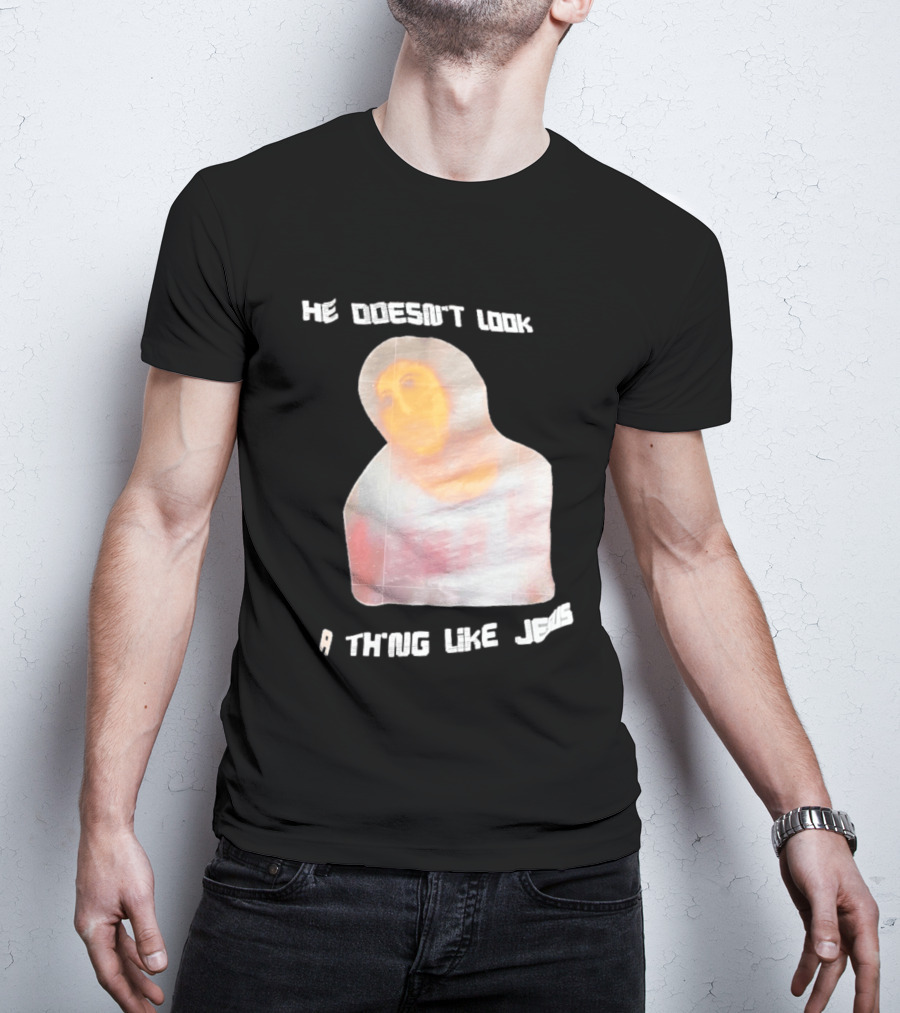 He Doesn't Look A Thing Like Jesus Meme Ecce Homo Restoration T-Shirt