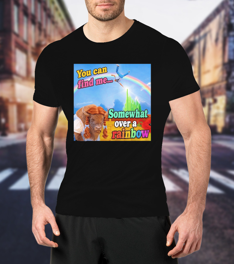 You Can Find Me Somewhat Over A Rainbow Bison Meme T-Shirt