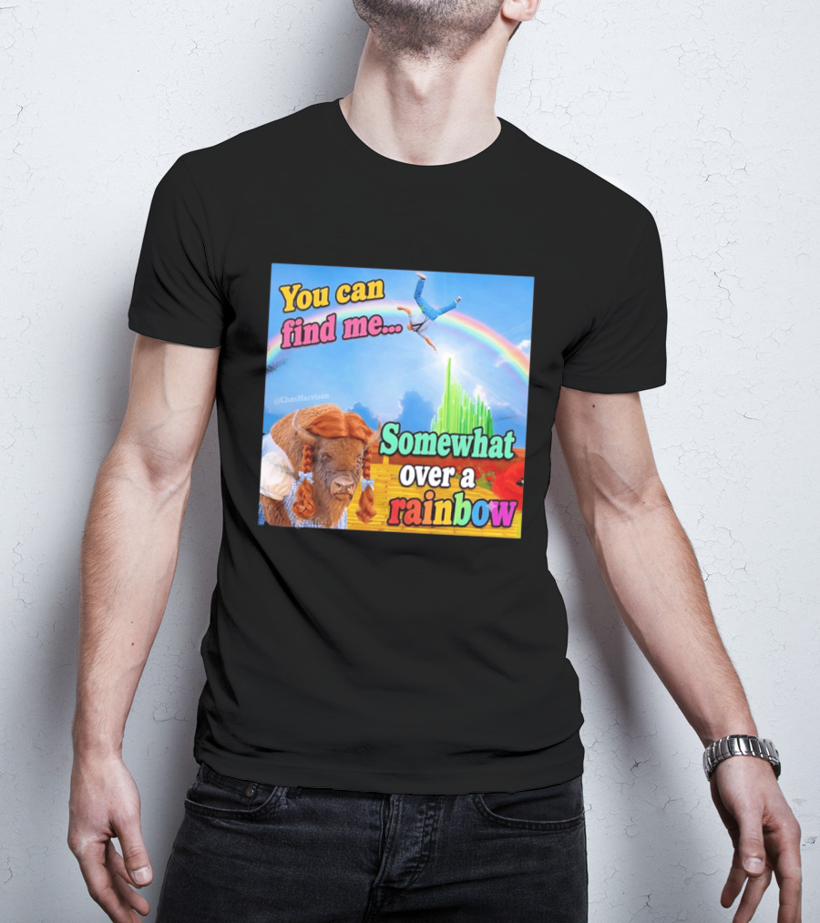 You Can Find Me Somewhat Over A Rainbow Bison Meme T-Shirt
