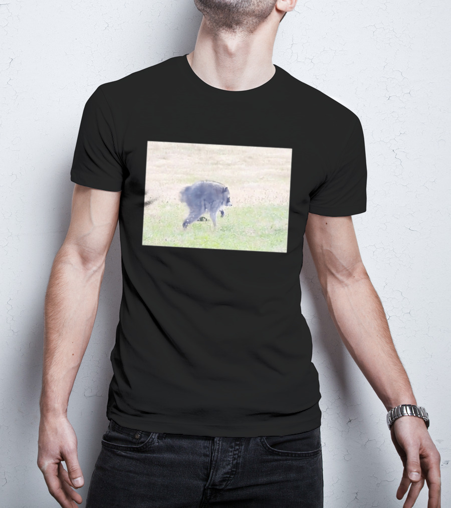 Jimothy Raccoon Walking In Grassy Field Wildlife Scene T-Shirt
