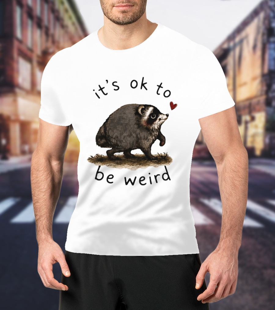 Raccoon It's Ok To Be Weird Cute Heart T-Shirt