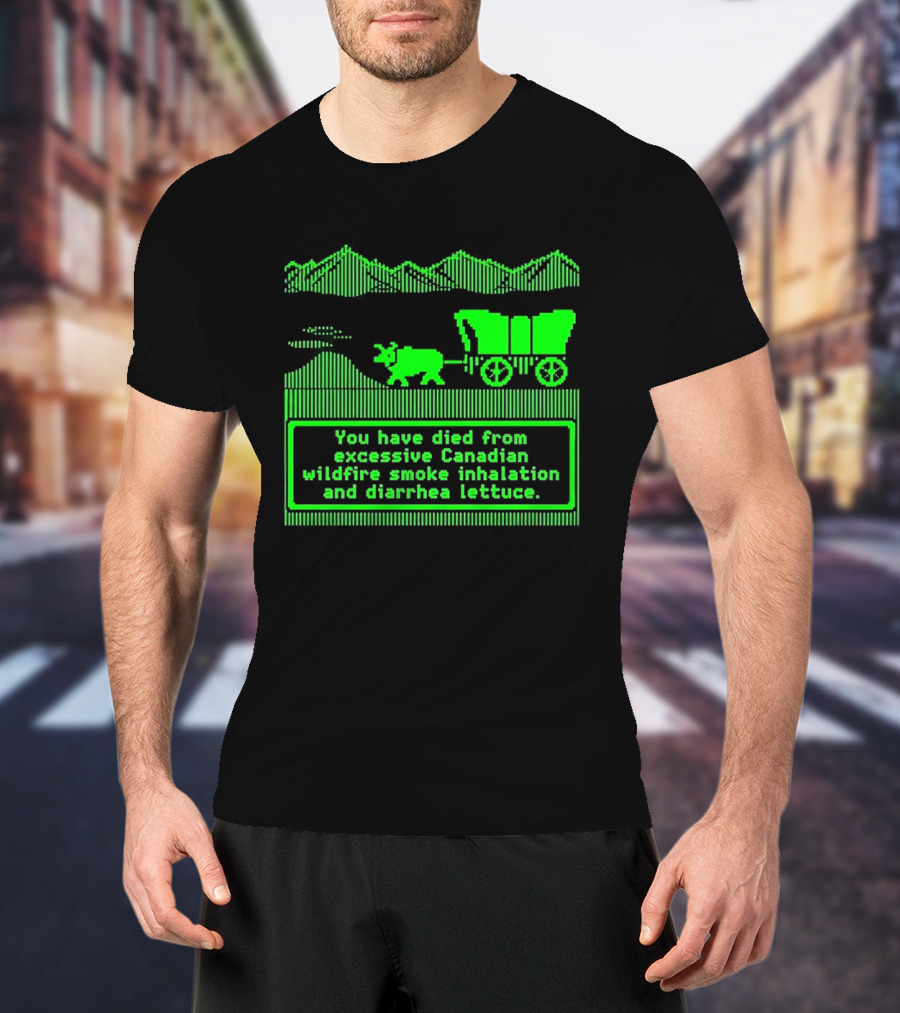 Oregon Trail You Have Died From Excessive Canadian Wildfire Smoke Inhalation And Diarrhea Lettuce T-Shirt