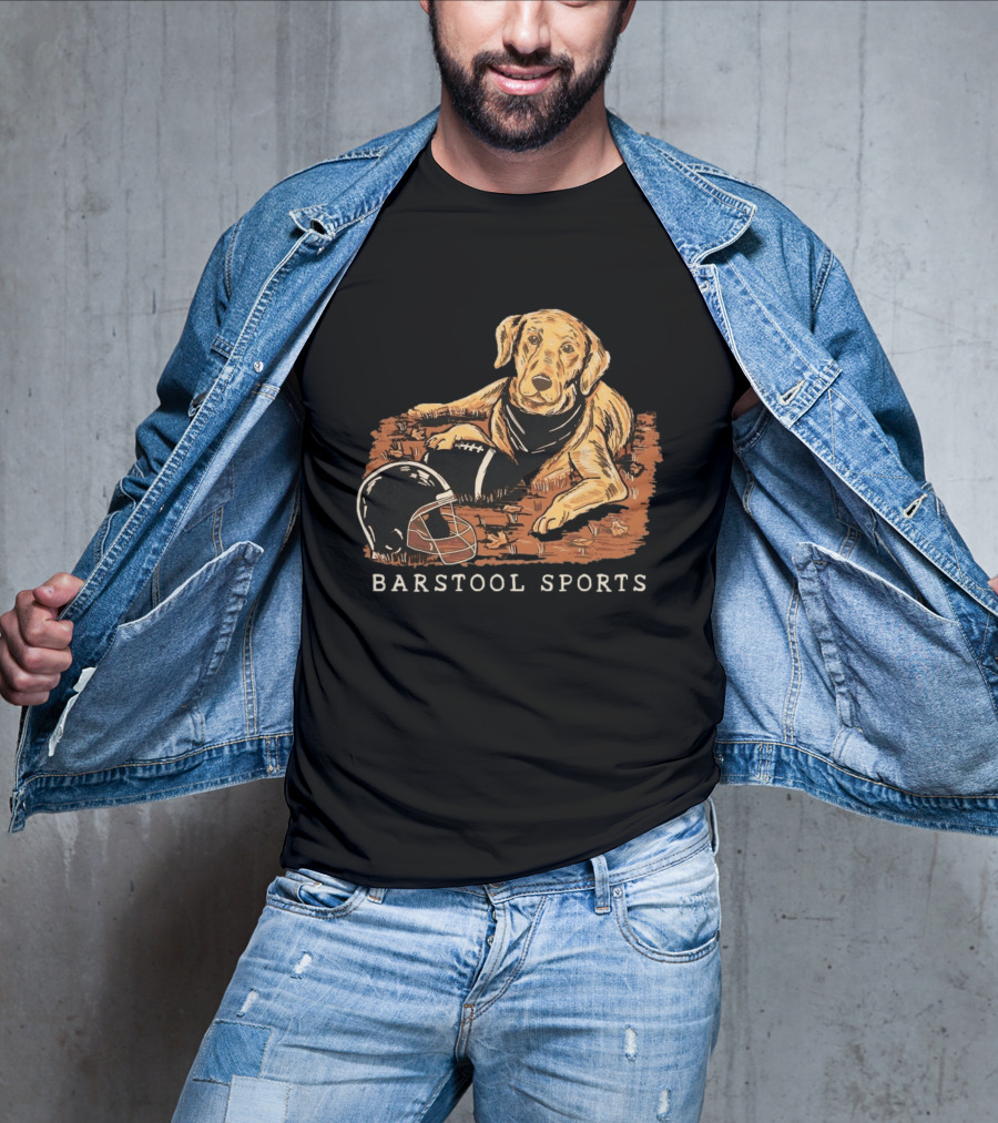 Barstool Sports Fall Football Dog With Helmet And Leaves T-Shirt