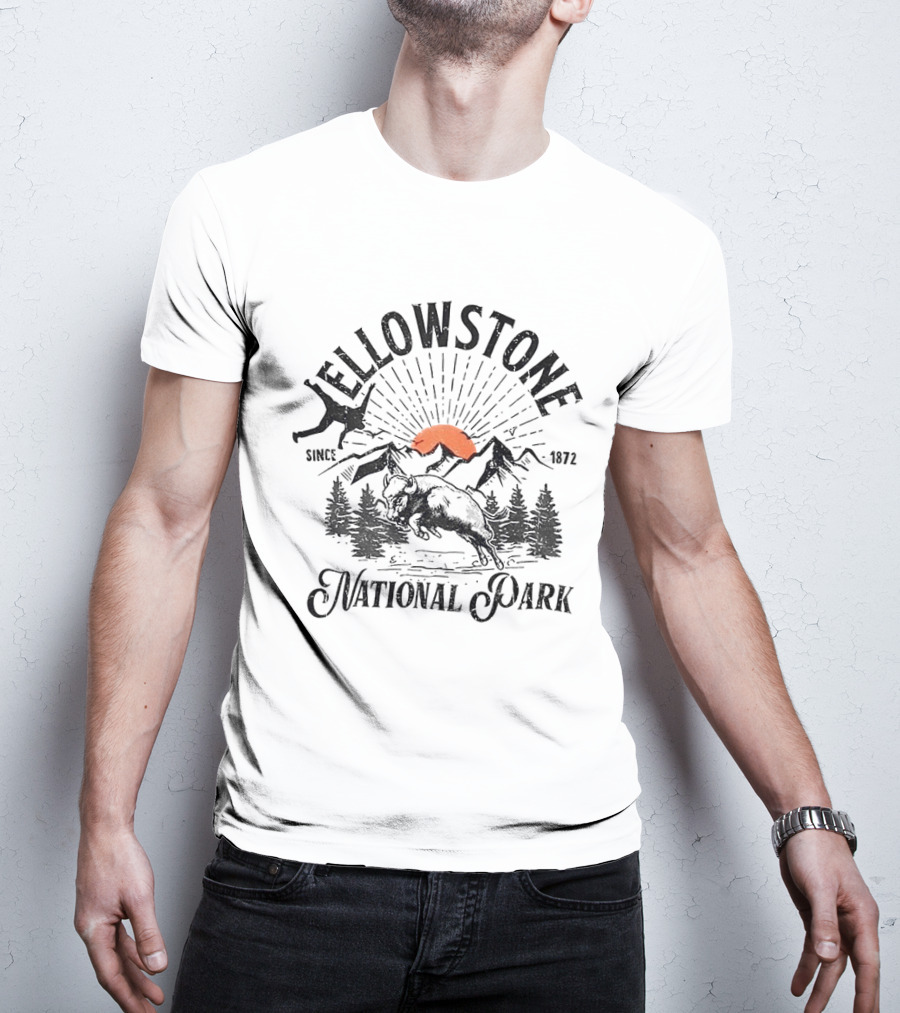 Yellowstone National Park Bison Accident Since 1872 T-Shirt