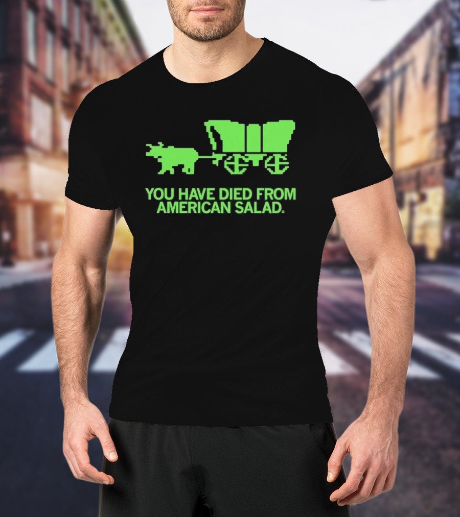 You Have Died From American Salad Ox Cart Retro Gaming Spoof T-Shirt