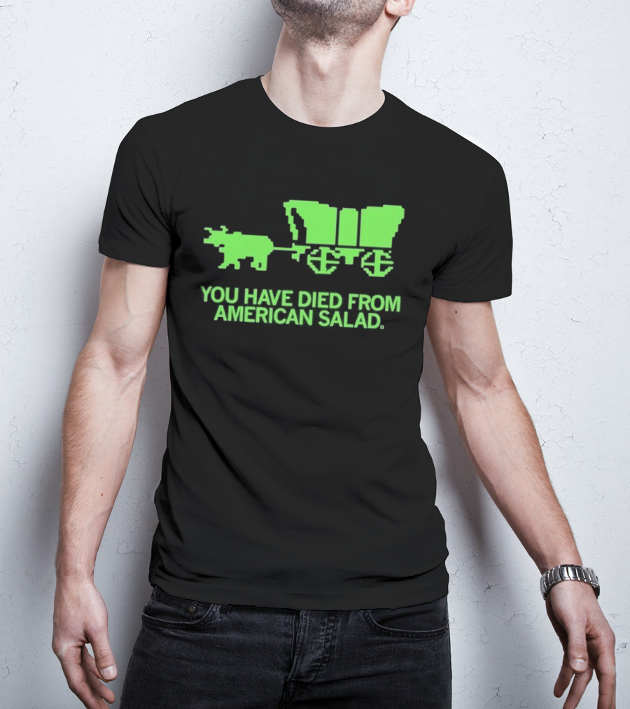 You Have Died From American Salad Ox Cart Retro Gaming Spoof T-Shirt