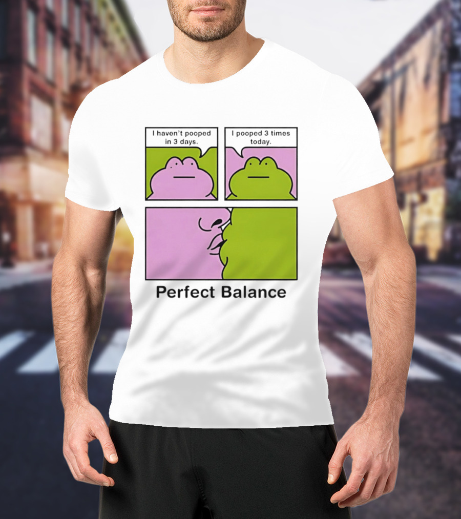 Perfect Balance Frog Meme I Haven't Pooped In 3 Days Pooped 3 Times Today T-Shirt