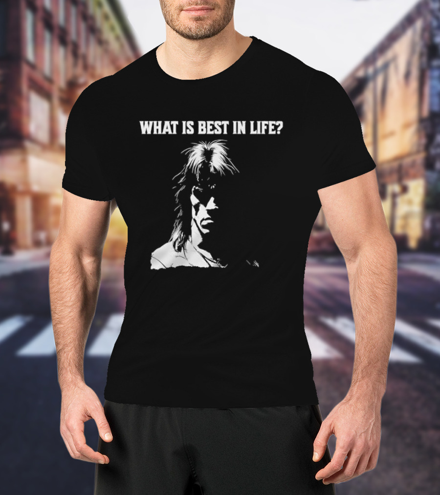What Is Best In Life Conan The Barbarian T-Shirt