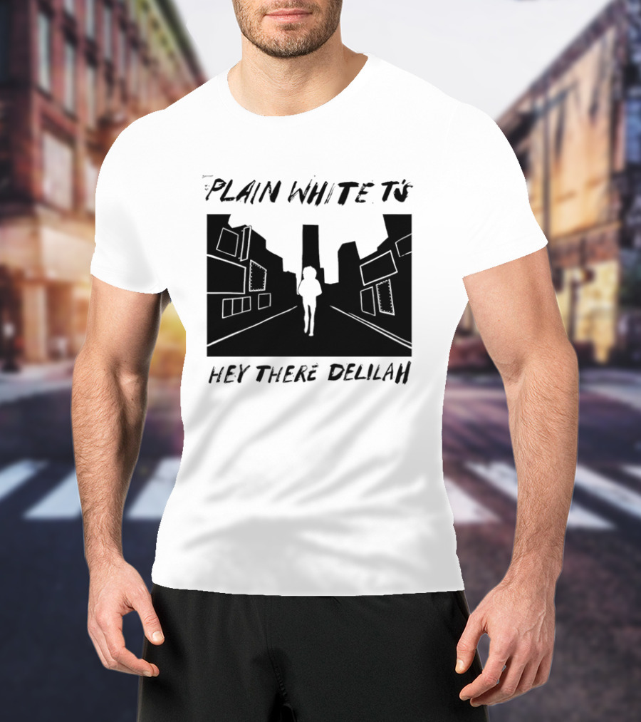 Plain White T's Hey There Delilah City T-Shirt