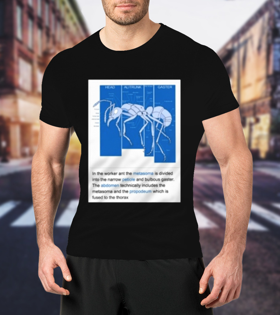 Head Alitrunk Gaster Metasoma Petiole Anatomy Of An Ant T-Shirt