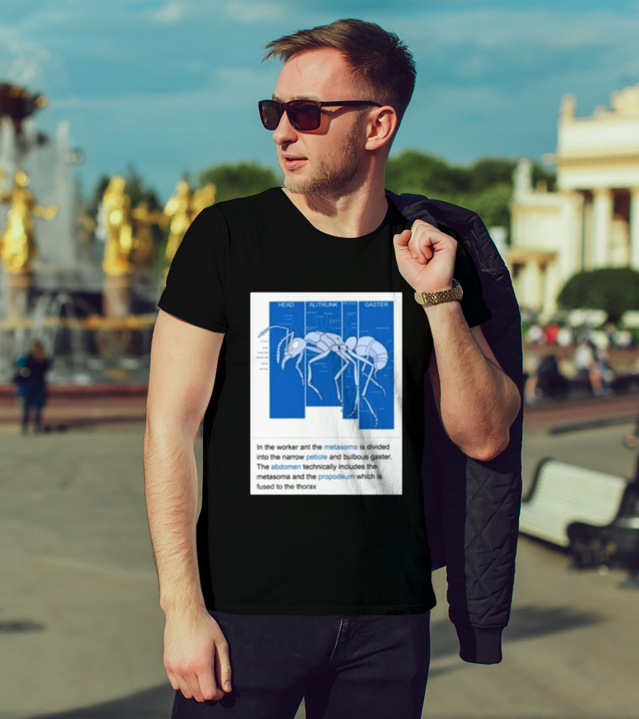 Head Alitrunk Gaster Metasoma Petiole Anatomy Of An Ant T-Shirt