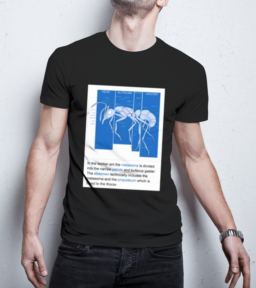Head Alitrunk Gaster Metasoma Petiole Anatomy Of An Ant T-Shirt