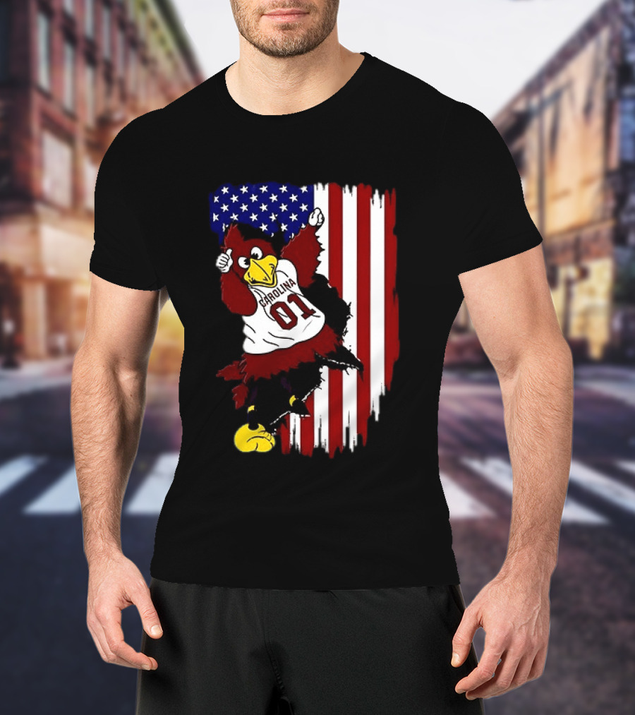 South Carolina Gamecocks Carolina 01 USA Flag We The People T-Shirt