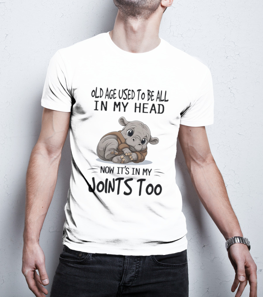 Old Age Used To Be All In My Head Now It's In My Joints Too Cute Hippopotamus T-Shirt
