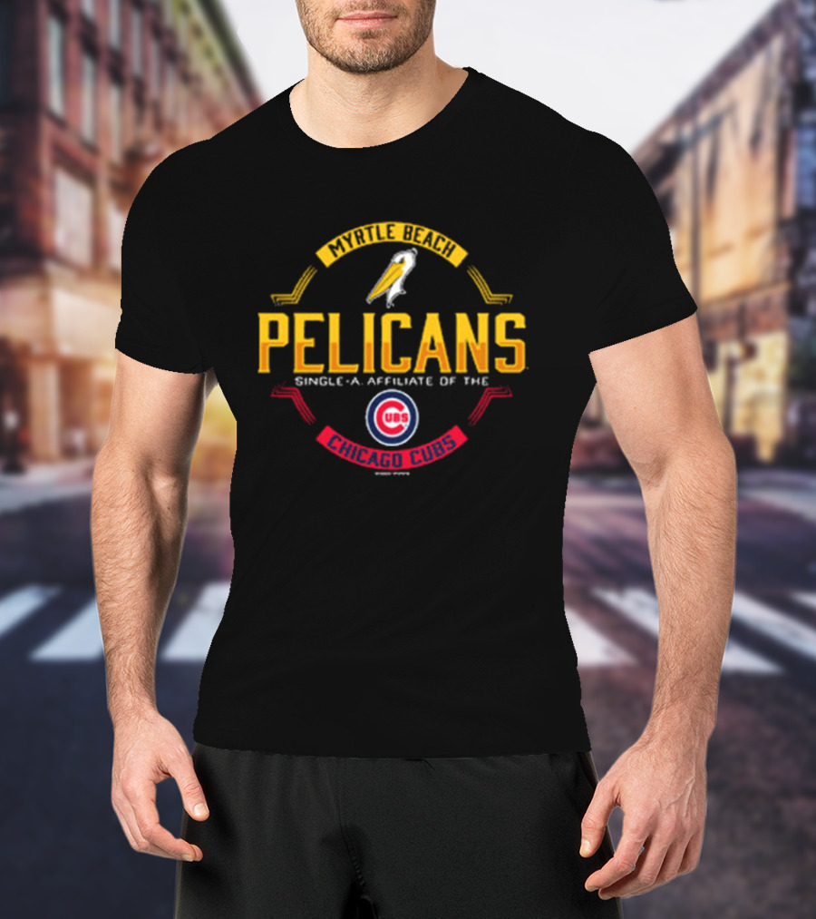 Myrtle Beach Pelicans Single A Affiliate Chicago Cubs Baseball Team T-Shirt