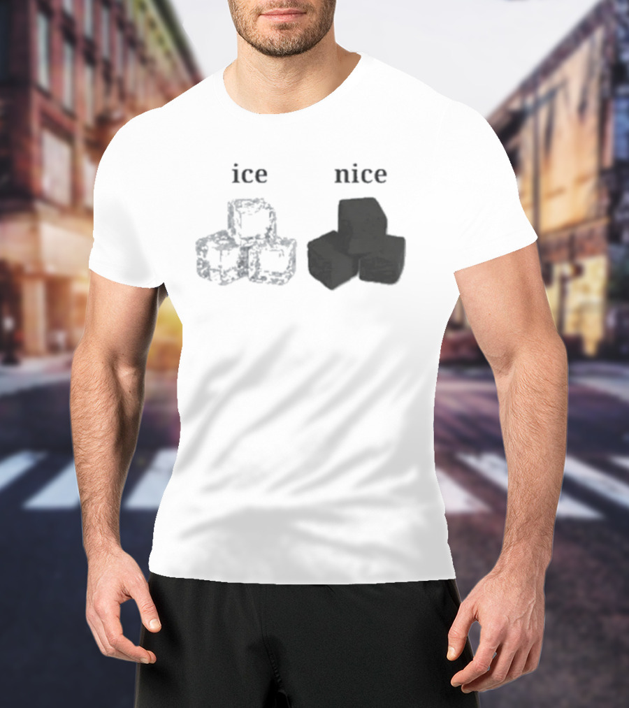 Ice Vs Nice Cubes Playful Word T-Shirt