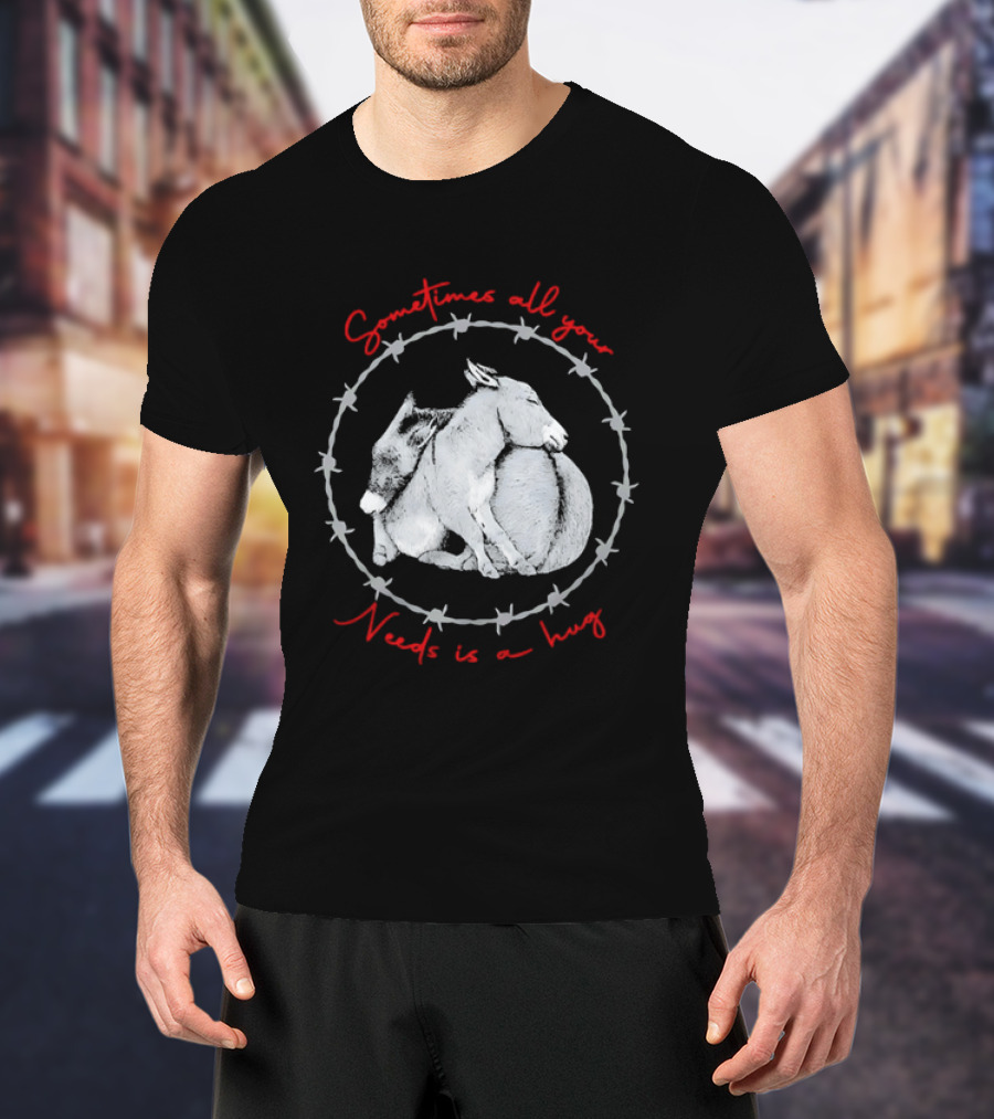 Sometimes All Your Needs Is A Hug Cuddling Donkeys Barbed Wire T-Shirt