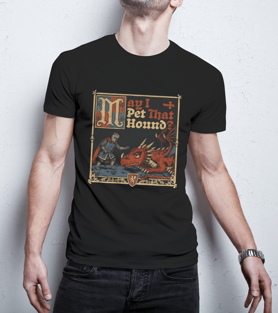 May I Pet That Hound Medieval Knight And Dragon Meme T-Shirt
