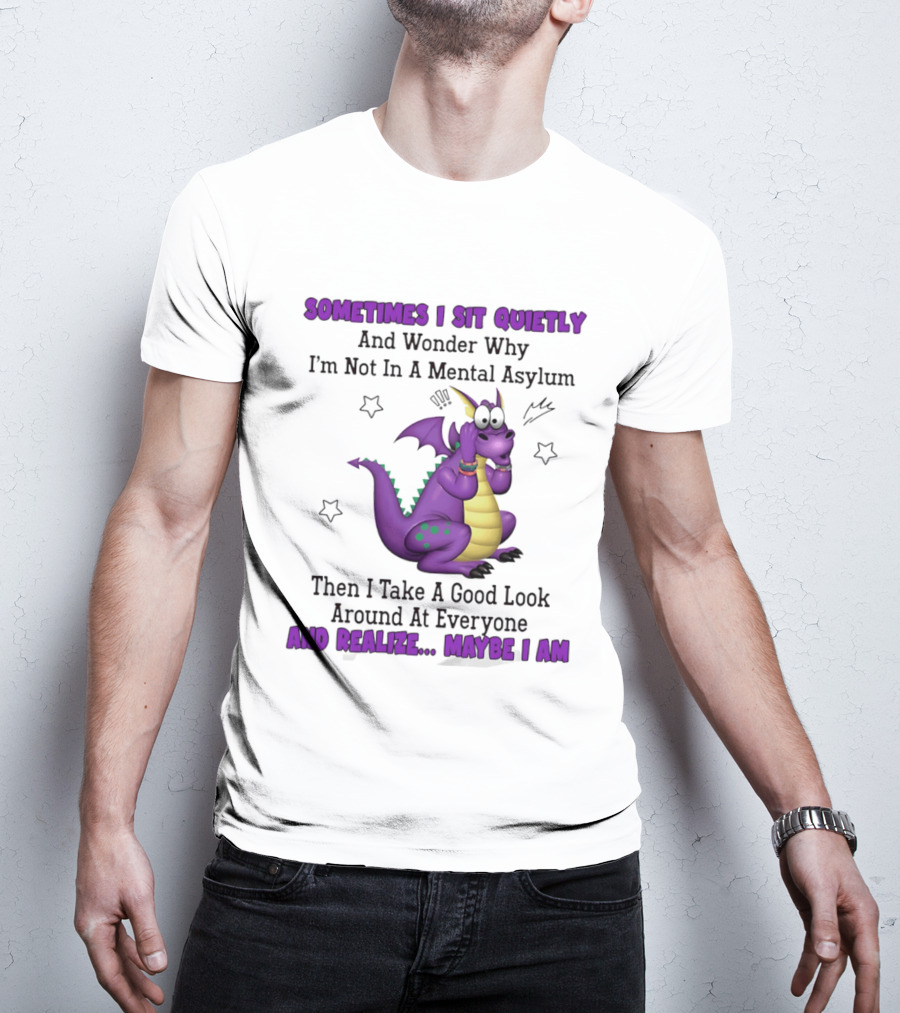 Sometimes I Sit Quietly Wonder Why I'm Not In A Mental Asylum Dragon Realize Maybe I Am T-Shirt