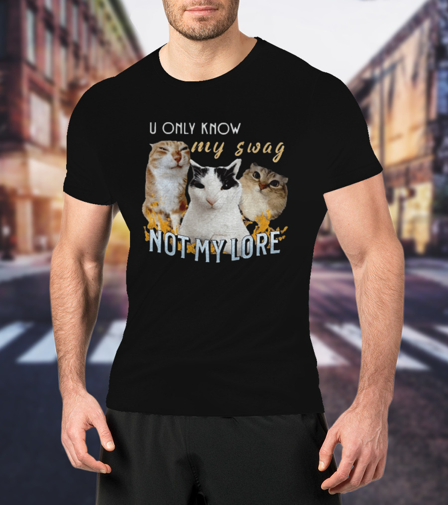 U Only Know My Swag Not My Lore Funny Cat Trio T-Shirt