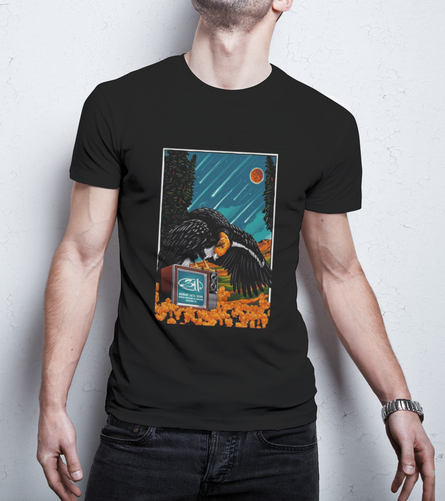 311 Toyota Pavilion Concord Event August 15 2026 California T-Shirt