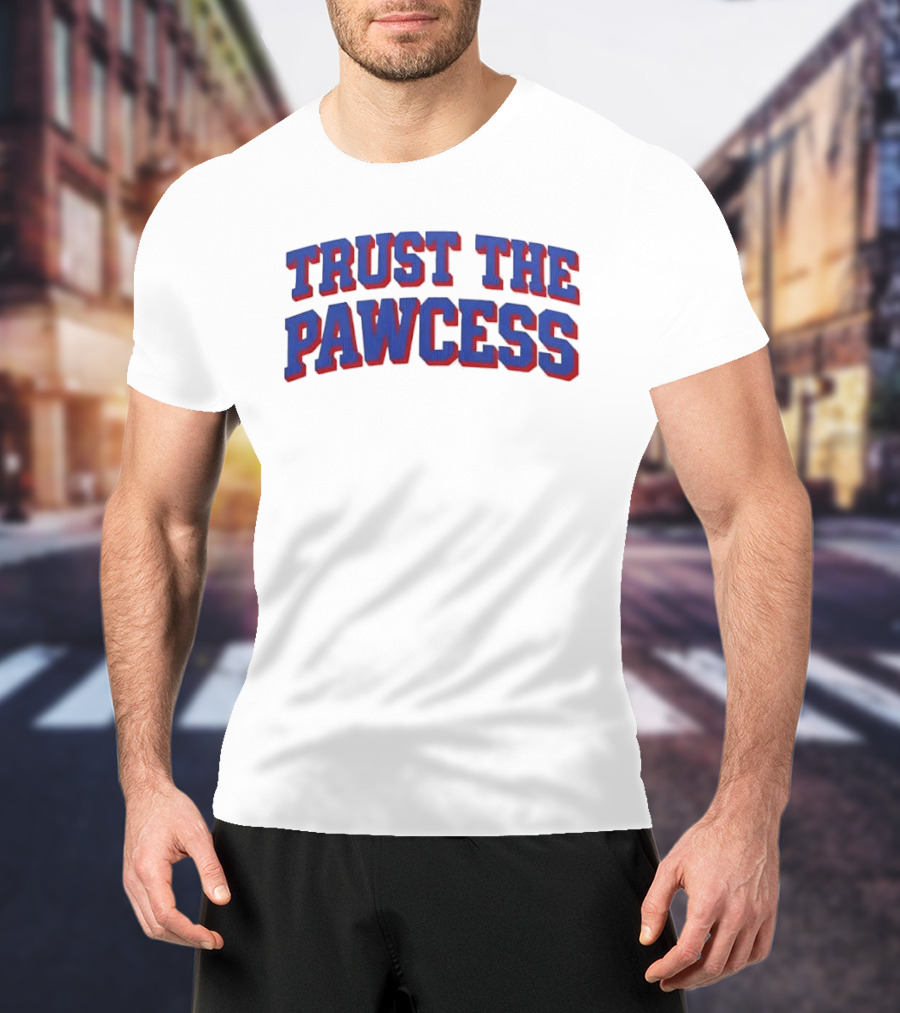 Trust The Pawcess Blue Red Arched 3D Wood Grain T-Shirt