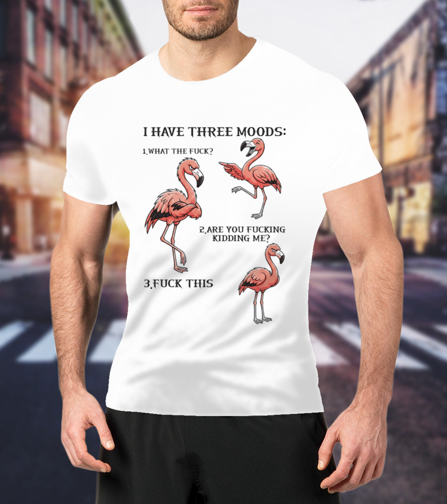 I Have Three Moods What The Fuck Are You Fucking Kidding Me Fuck This Flamingo T-Shirt