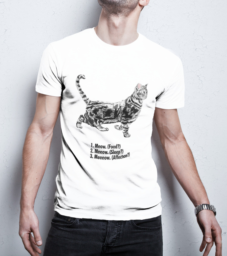Meow Food Meeow Sleep Meeeow Affection Cat Lovers Humor T-Shirt