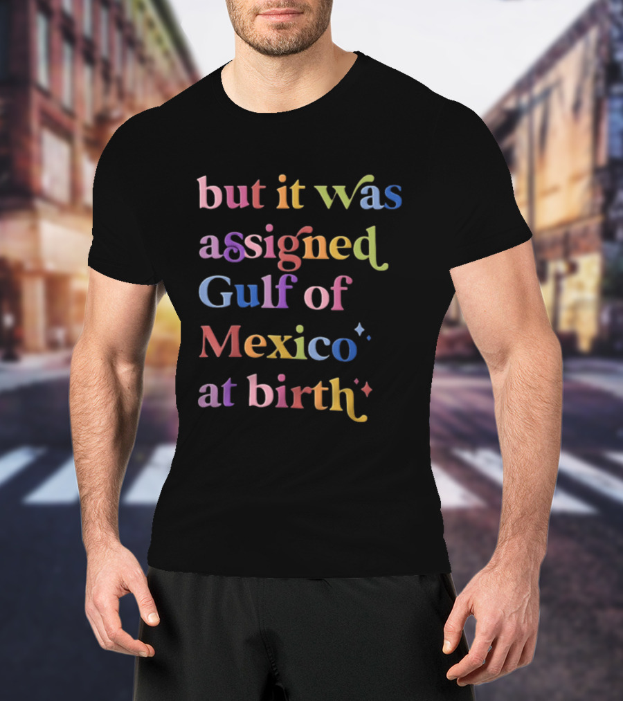 But It Was Assigned Gulf Of Mexico At Birth Rainbow T-Shirt