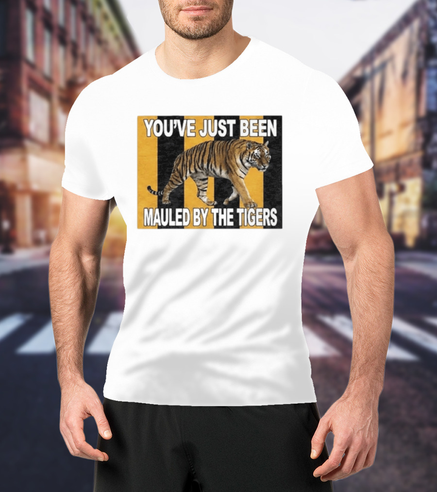 Hull City FC You've Just Been Mauled By The Tigers T-Shirt