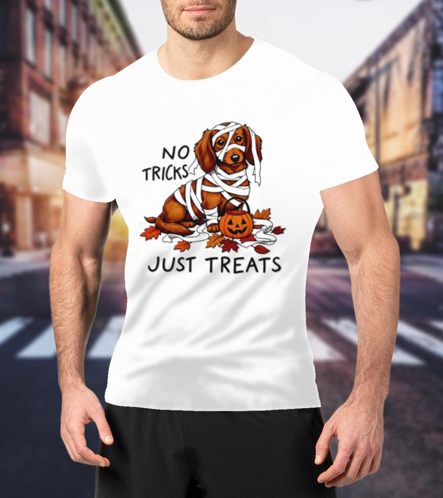 No Tricks Just Treats Dachshund Mummy Halloween Pumpkin Dog T-Shirt