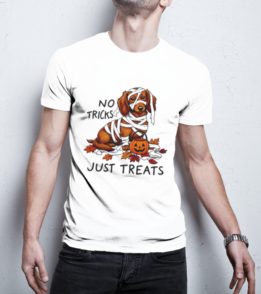 No Tricks Just Treats Dachshund Mummy Halloween Pumpkin Dog T-Shirt