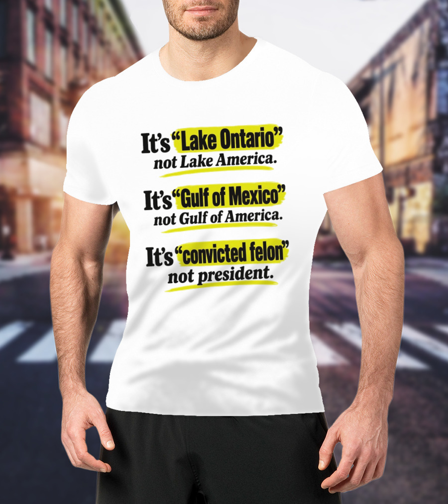 It's Lake Ontario Not Lake America Gulf Of Mexico Not Gulf Of America Convicted Felon Not President T-Shirt