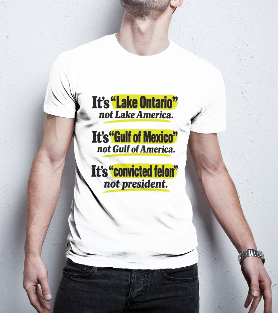It's Lake Ontario Not Lake America Gulf Of Mexico Not Gulf Of America Convicted Felon Not President T-Shirt