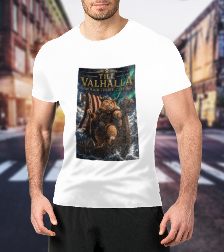 Till Valhalla Raid Feast Nap Viking Cat On Longship With Northern Lights T-Shirt