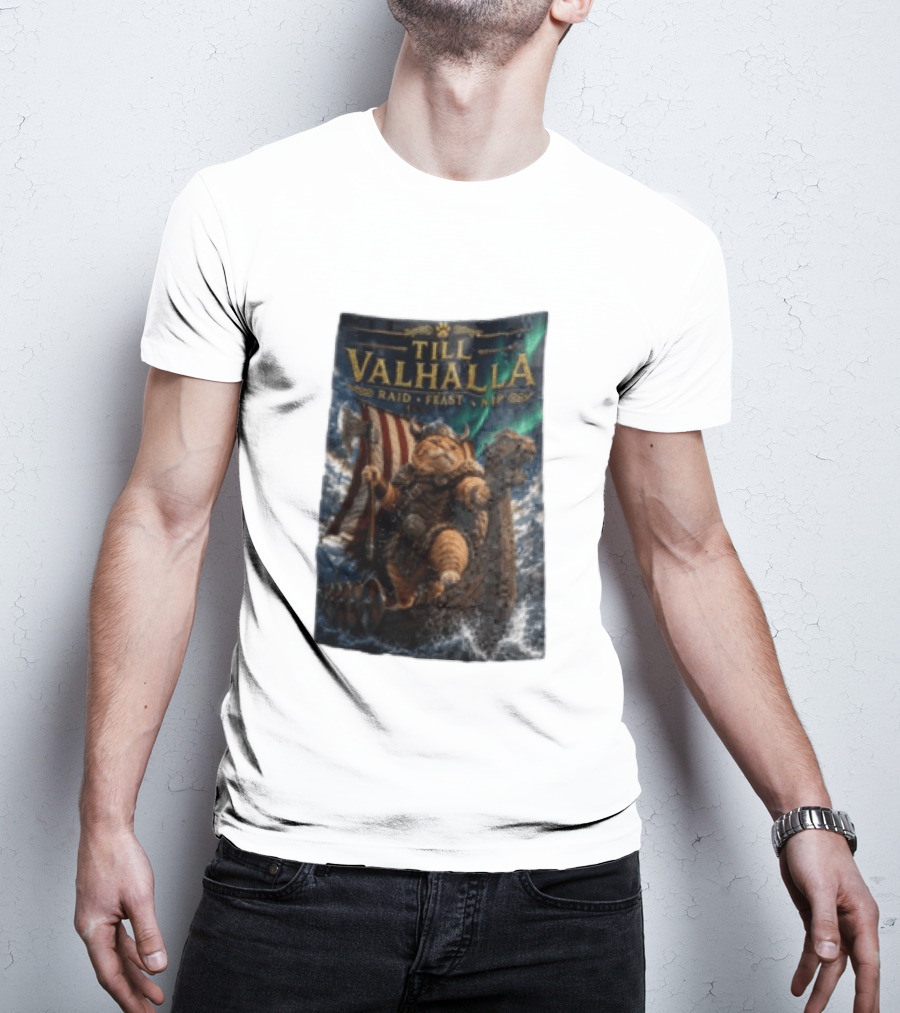 Till Valhalla Raid Feast Nap Viking Cat On Longship With Northern Lights T-Shirt