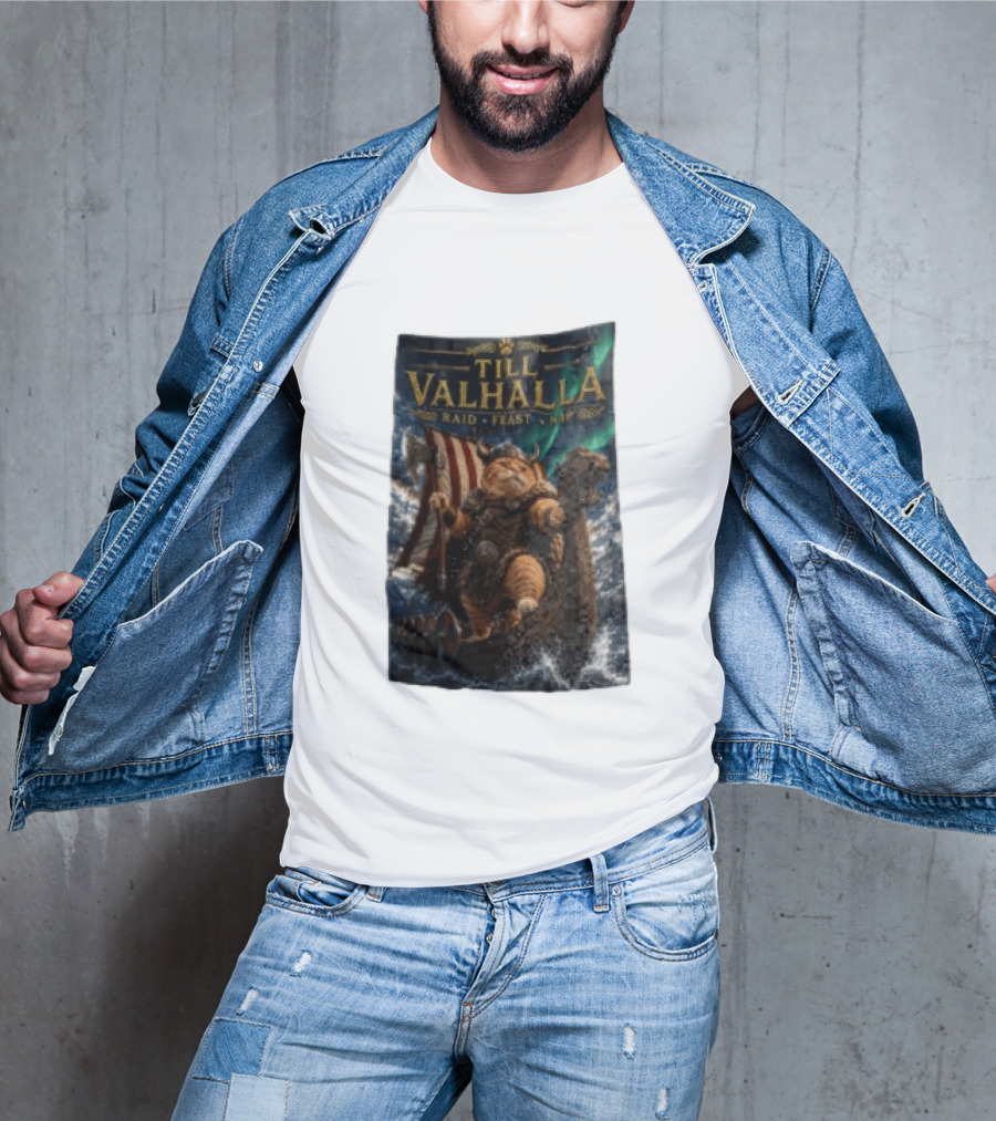 Till Valhalla Raid Feast Nap Viking Cat On Longship With Northern Lights T-Shirt