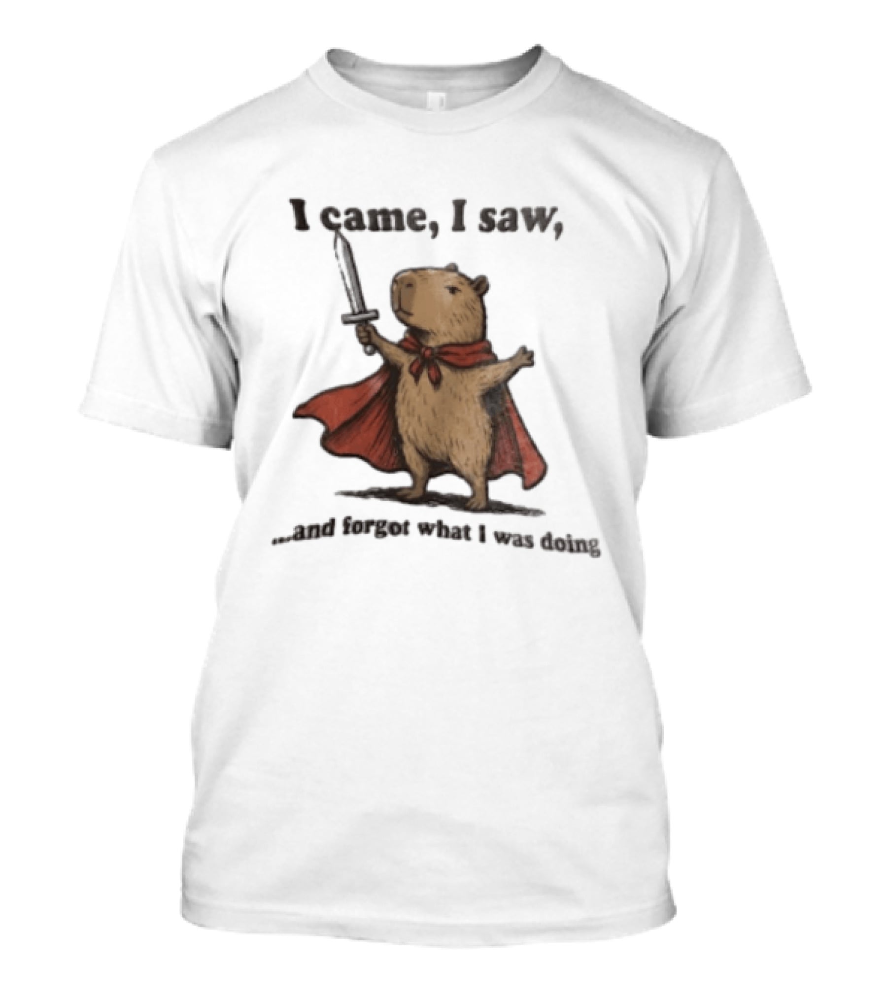 I Came I Saw Capybara Wearing Red Cape Holding Sword Forgot What I Was Doing T-Shirt