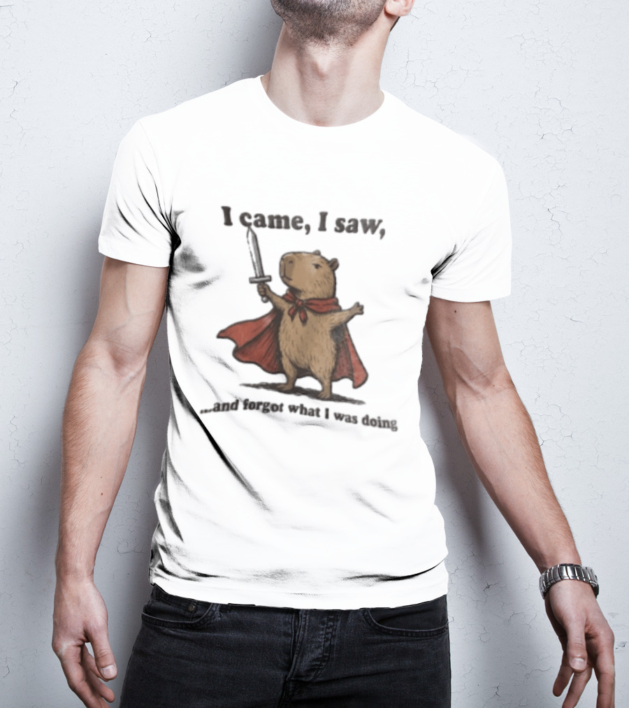 I Came I Saw Capybara Wearing Red Cape Holding Sword Forgot What I Was Doing T-Shirt