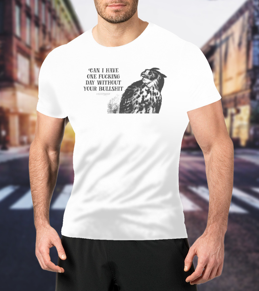 Can I Have One Fucking Day Without Your Bullshit Effinbirds T-Shirt