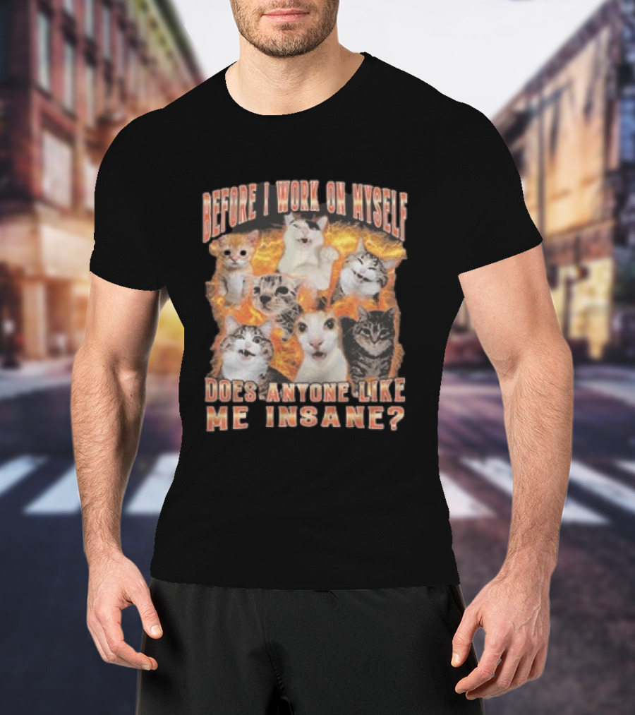 Before I Work On Myself Does Anyone Like Me Insane Cats T-Shirt
