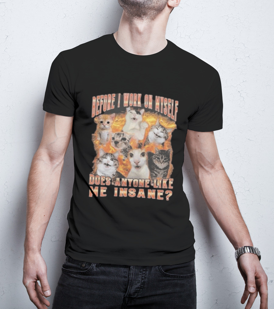 Before I Work On Myself Does Anyone Like Me Insane Cats T-Shirt