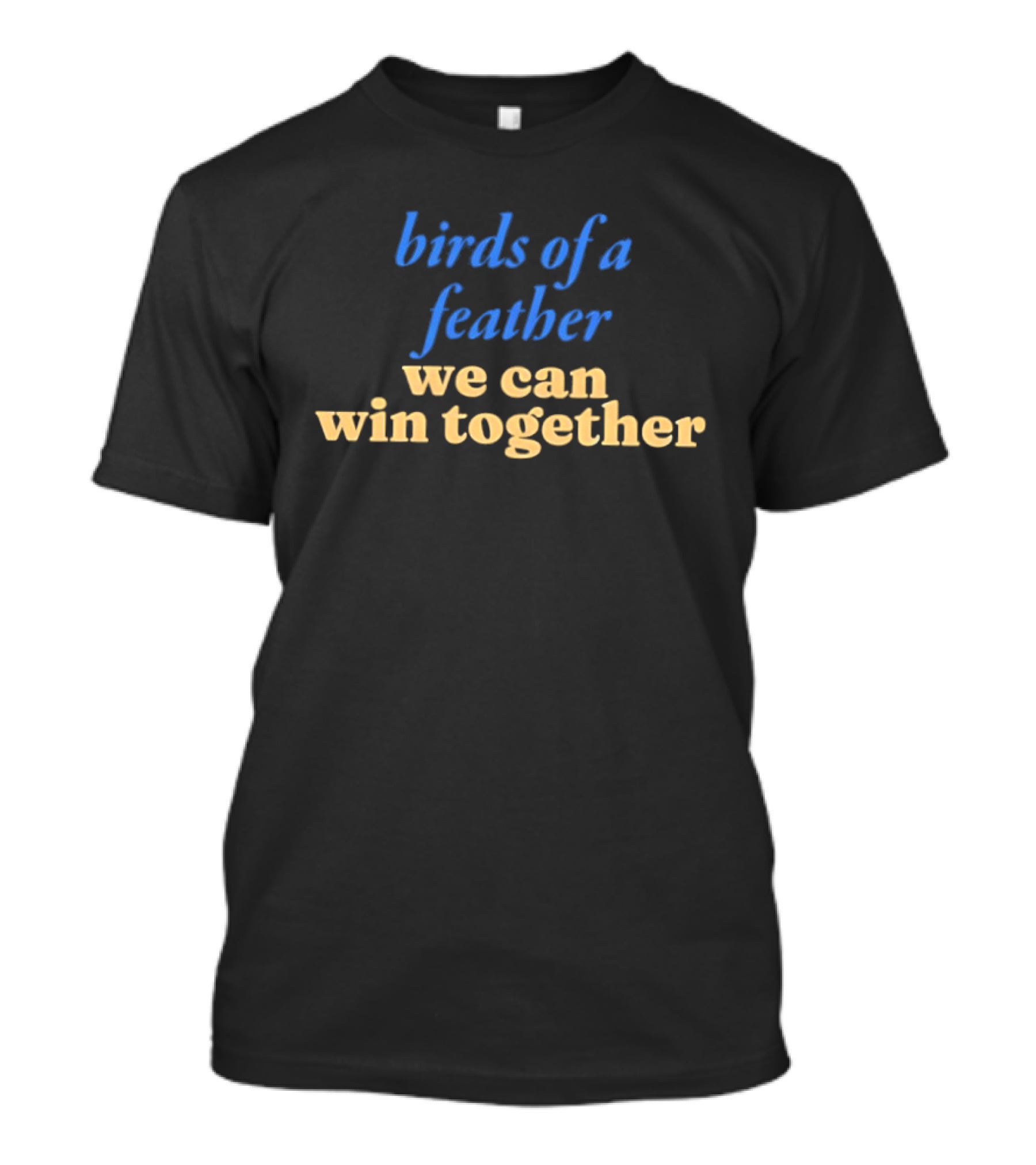 Birds Of A Feather We Can Win Together Team Spirit Motivation T-Shirt